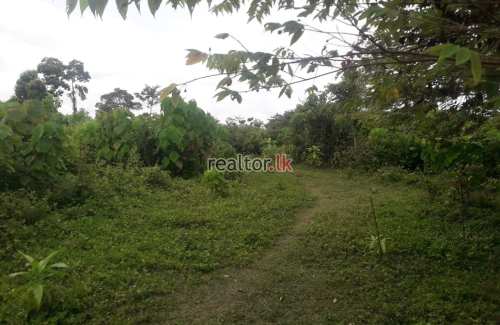 Kesbewa Rd Land For Sale