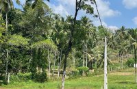 Industrial Land For Sale At Madulawa Rd Padukka