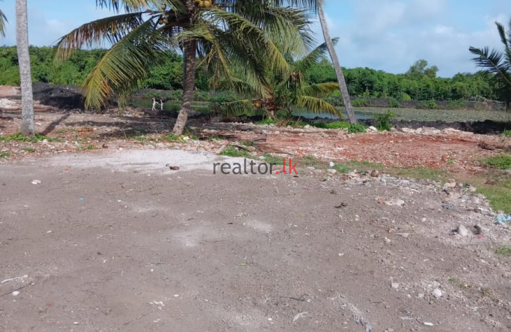 Land At Facing Bopitiya - Ja - Ela Rd