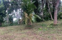 Bodering Koggala Lake Land For Sale