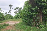 Land For Sale In Mavil Ela Road Bandaragama