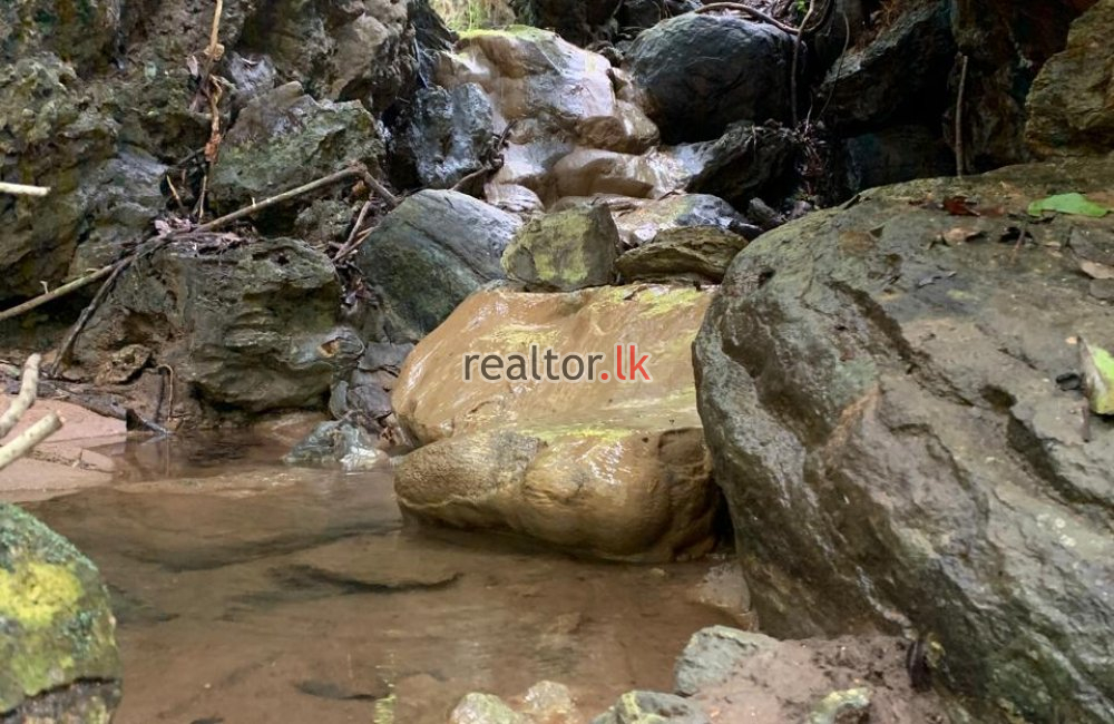 Riverfront Land For Sale In Haldummulla Balangoda