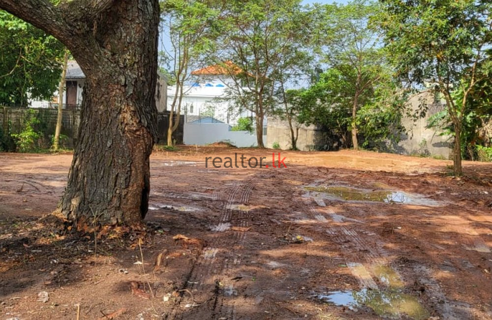 Bodhiraja Mawatha Land For Sale