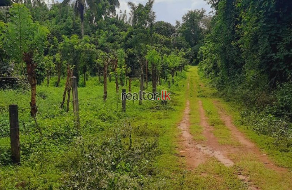 Mix Plant Estate For Sale At Naula Matale