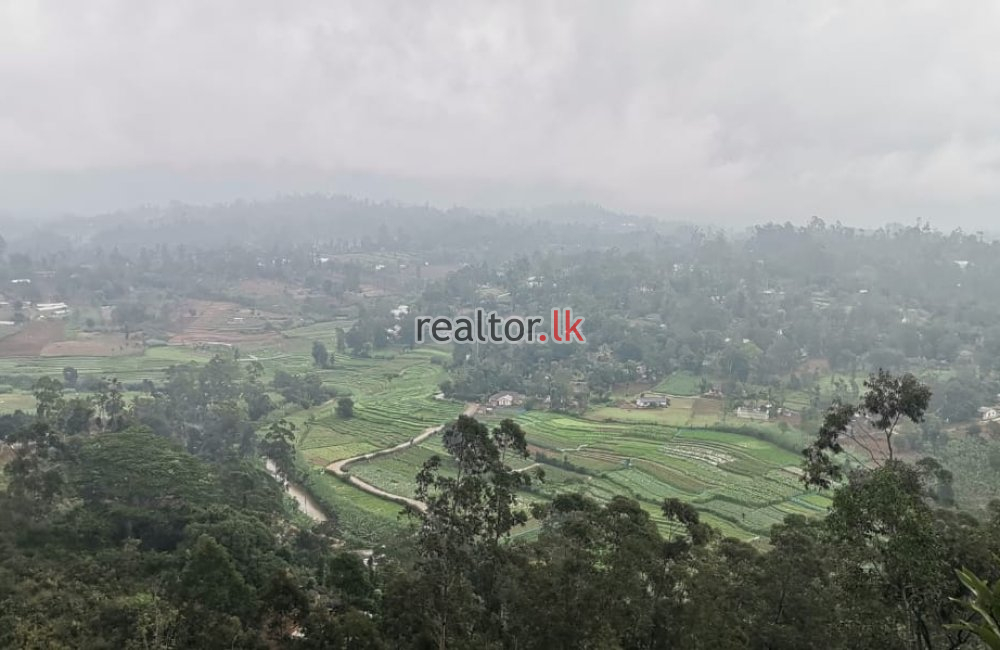 Land For Sale In Welimada