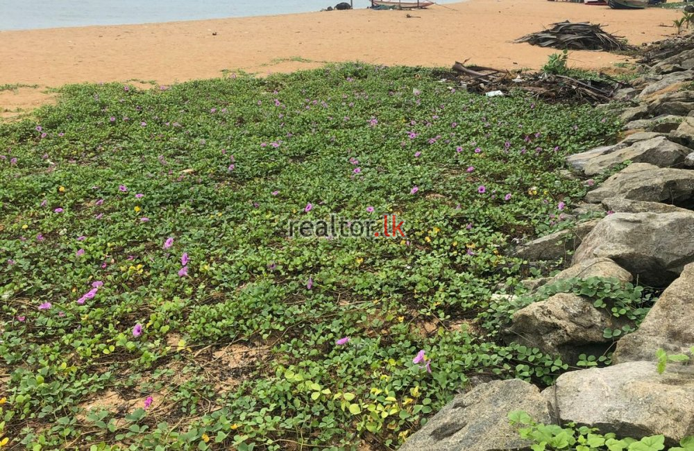 Beachfront Land For Sale At Marawila
