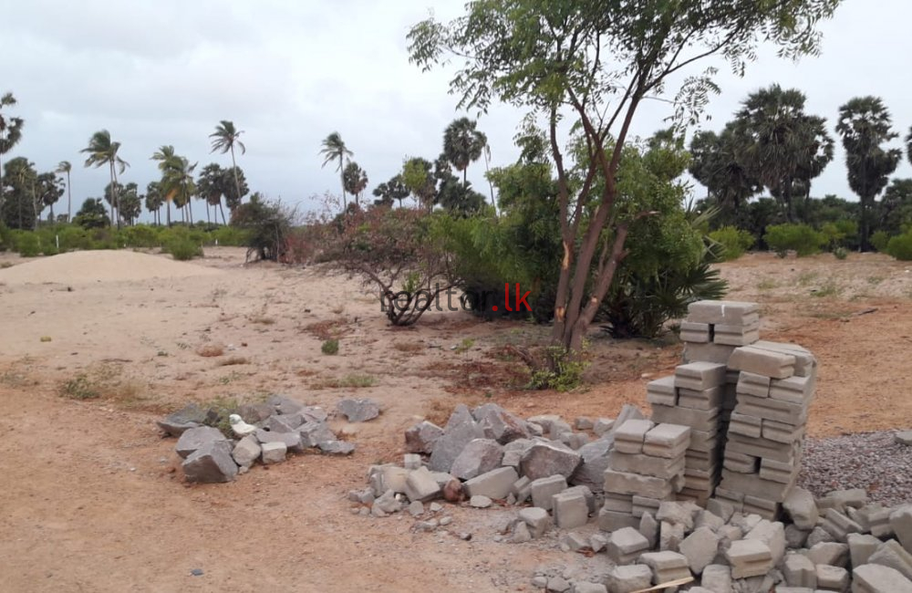 Lagoon Front Land At Kalpitiya