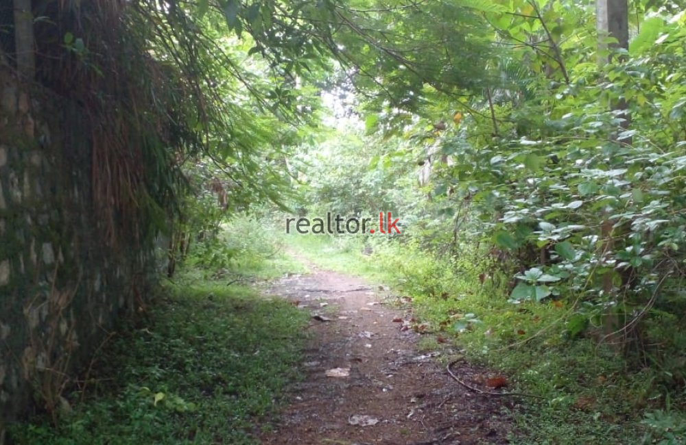 Facing Bolgoda Lake Land For Sale