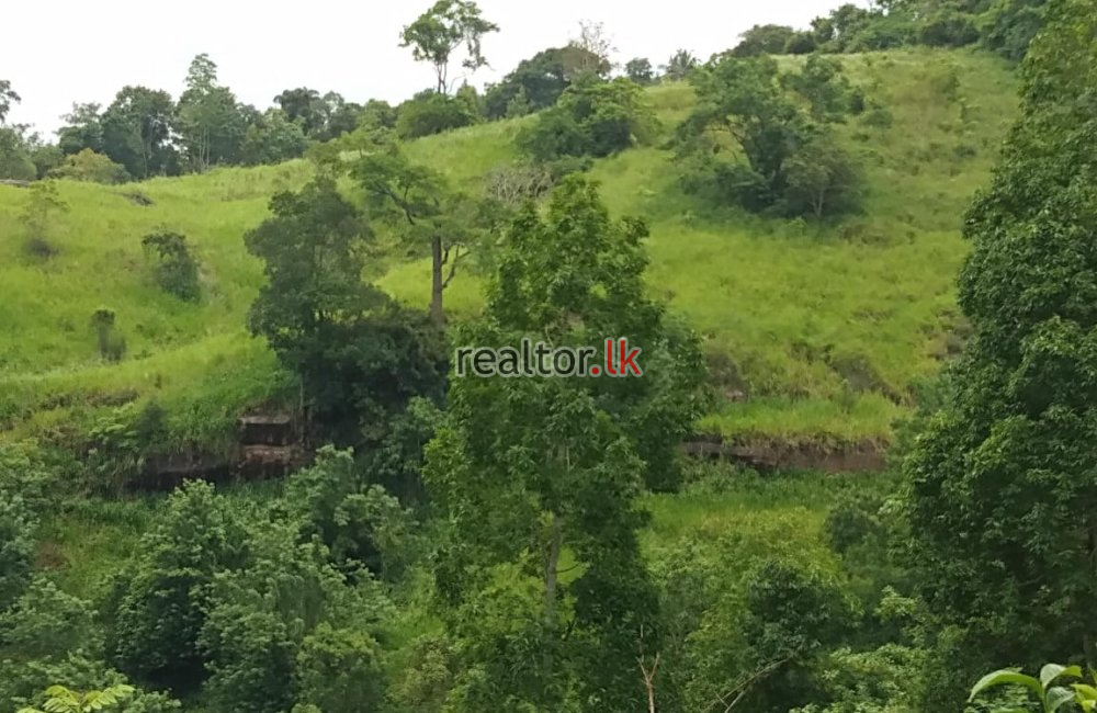 Land For Sale At Yahalatenna Kandy