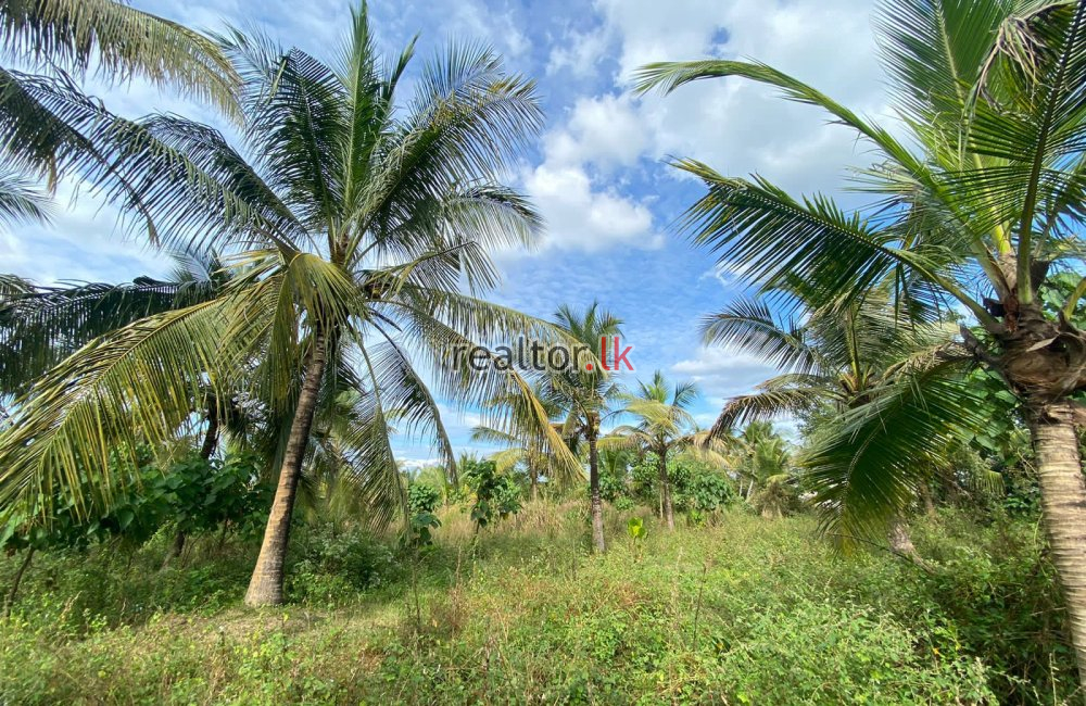 Dhrmashoka Mw Land For Sale