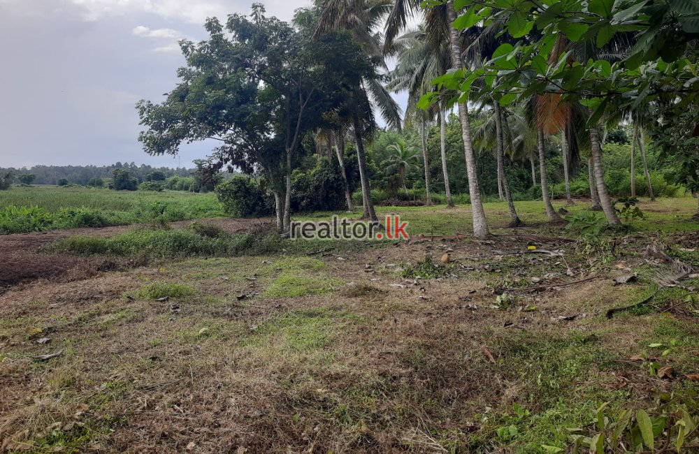 Land For Sale At Katunayake Rd Peellawatta