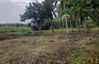 Land For Sale At Katunayake Rd Peellawatta