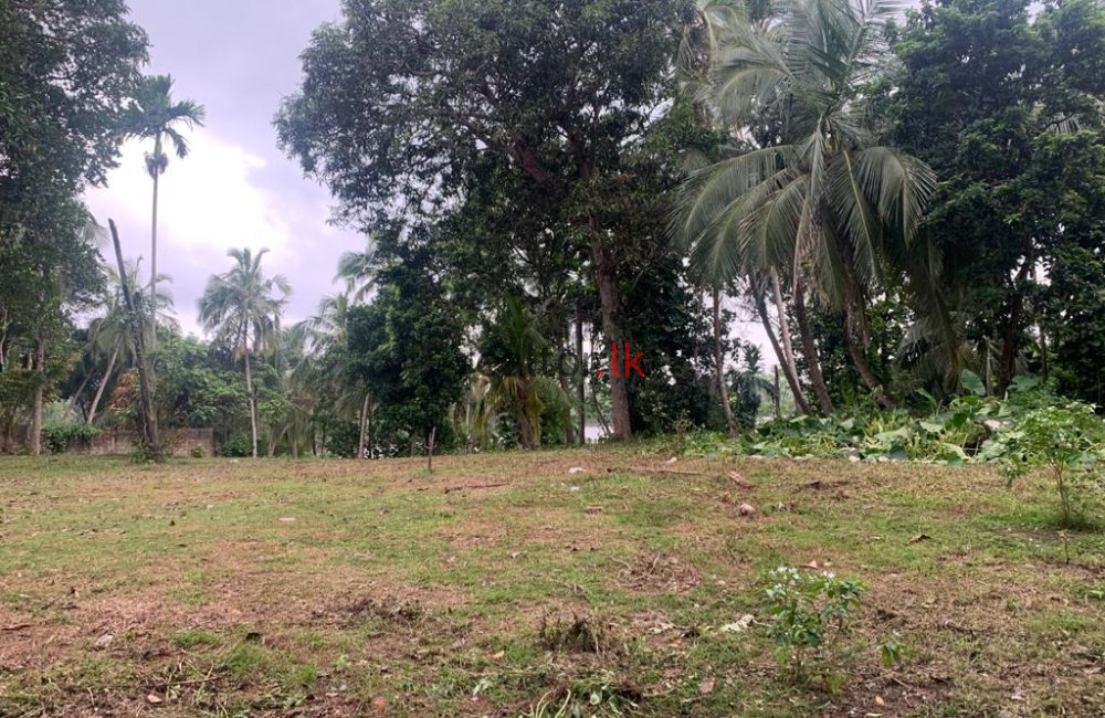 Bodering Koggala Lake Land For Sale