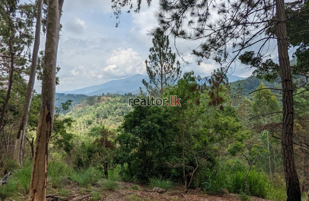 Scenic Mountain View Land For Sale In Kithal Ella