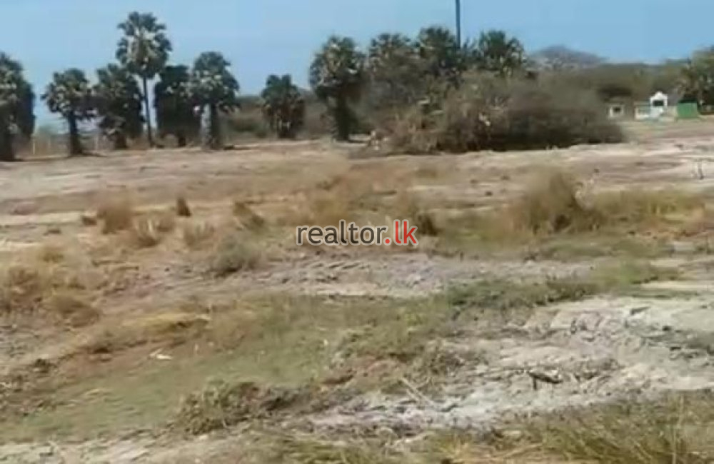 Land For Sale Facing Talaimannar Road Mannar