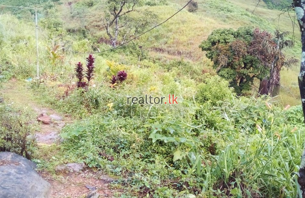 Land For Sale At Nuwara Eliya