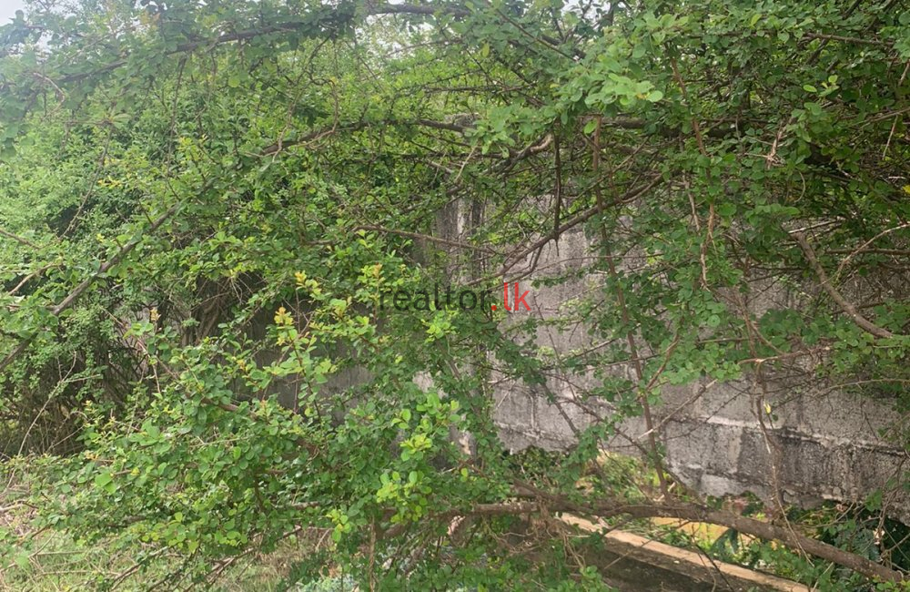 Mangalaeliya Land For Sale