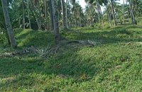 Spacious Land For Sale At Katana