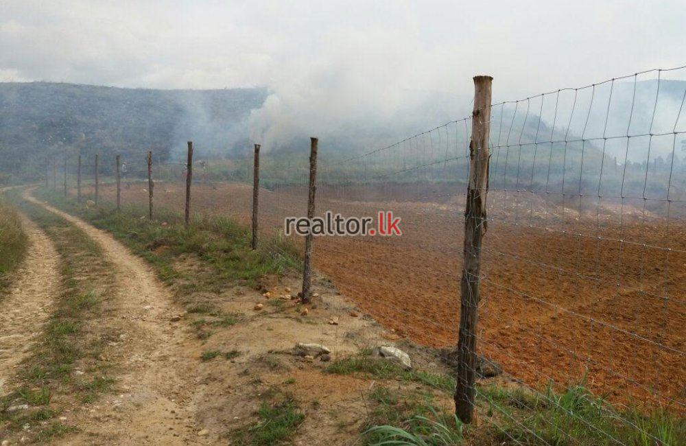 Land For Sale In Nawalapitiya