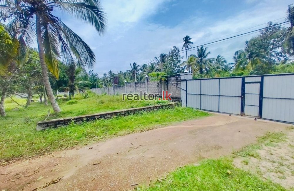 Factory For Sale In Welipenna Nattandiya