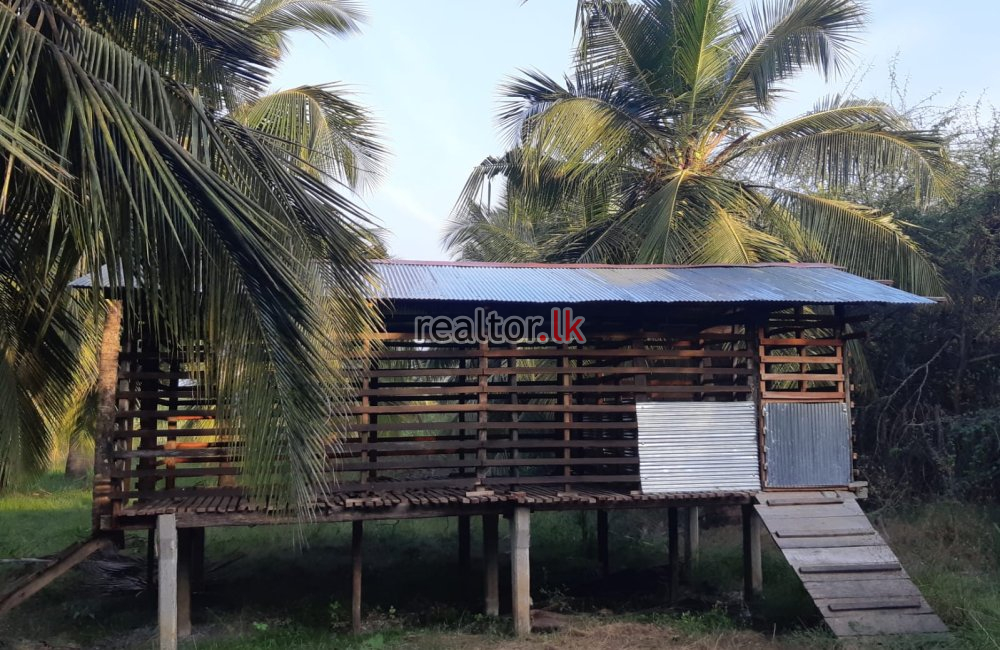 Land For Sale At Puttalam