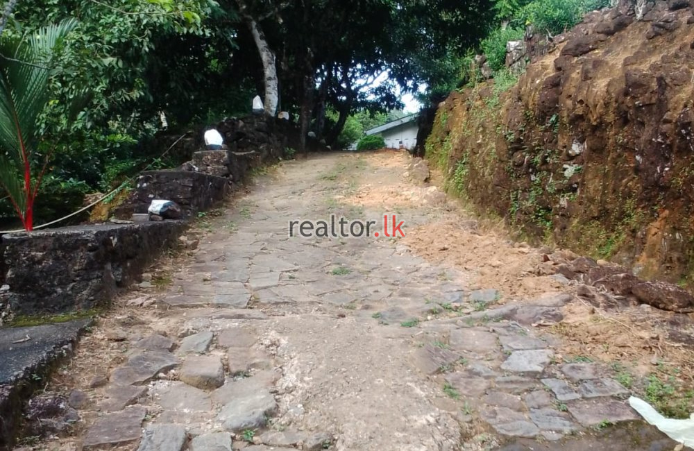 Mixed Plant Estate For Sale At Dehiowita
