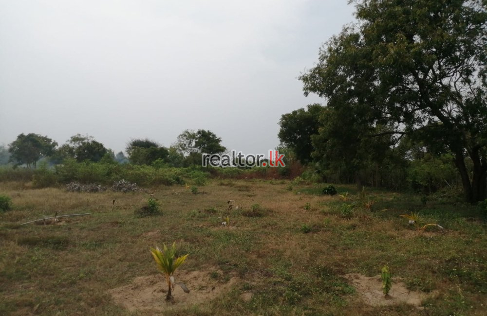Beachfront Land For Sale At Whisky Point Pottuvil