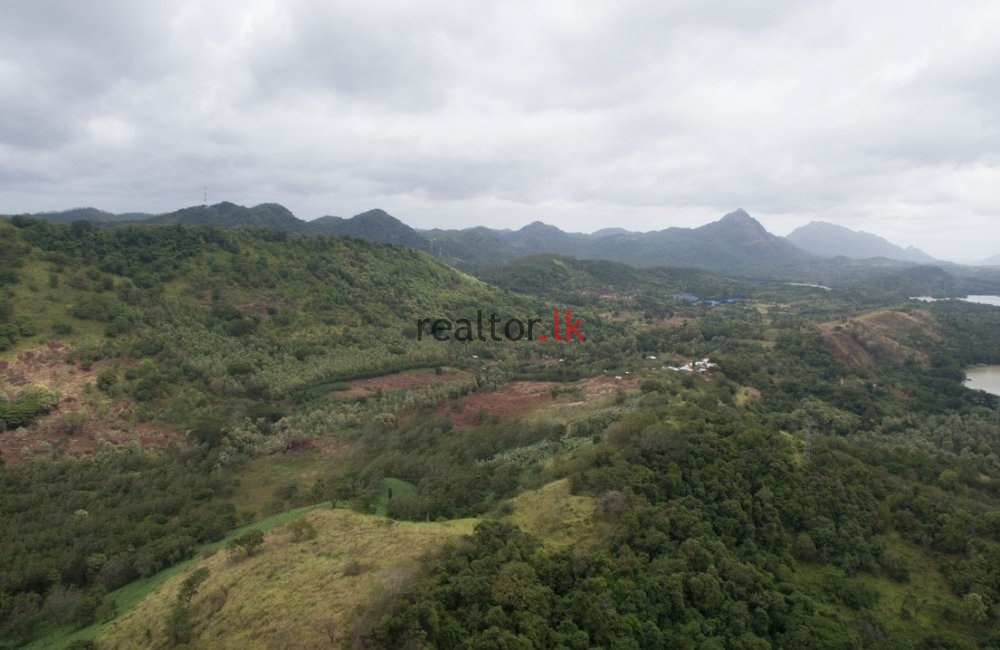 Madawala Ulpotha Estate For Sale