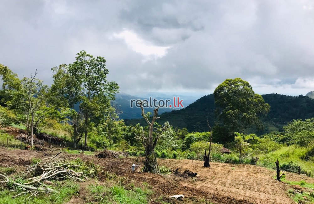 Land For Sale In Ella