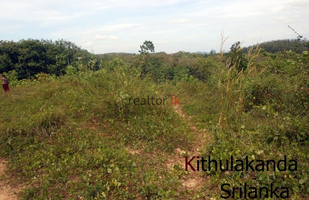 Land For Rent At Moragahena