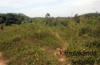 Land For Rent At Moragahena