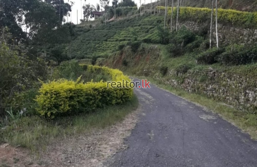 Kandy Tea Estate + Factory For Sale