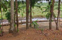 Mount-Cliff Eco Land For Sale In Bentota