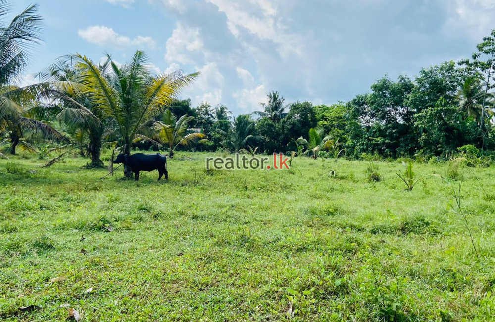 Land For Sale At Ranala