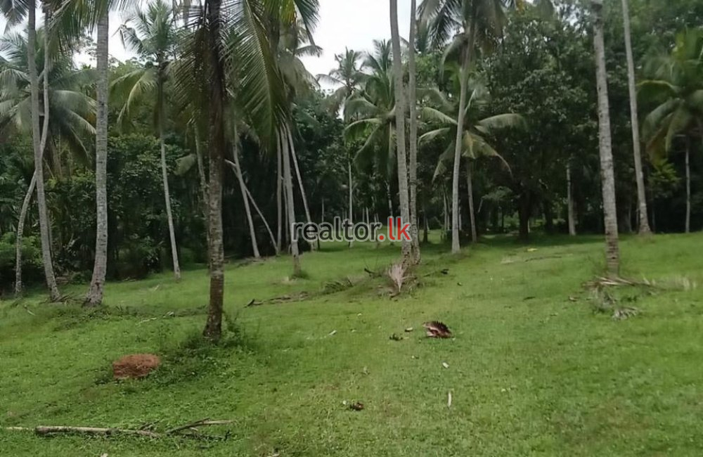 Facing Poruwadanda Rd Handapangoda Land For Sale