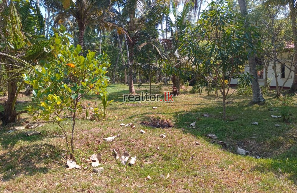 Beach Land For Sale At Hiriketiya