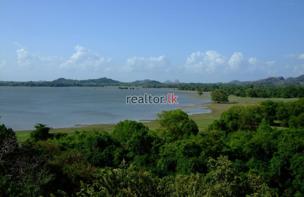 Lakefront Land For Sale In Kandalama Dambulla