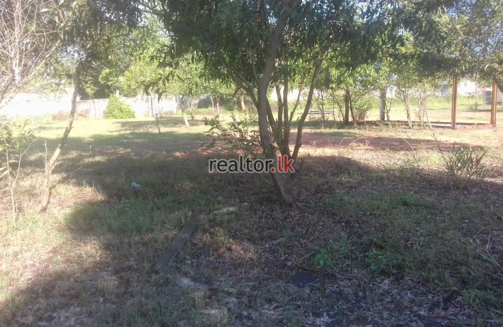 Land For Sale In Kerawalapitiya Wattala