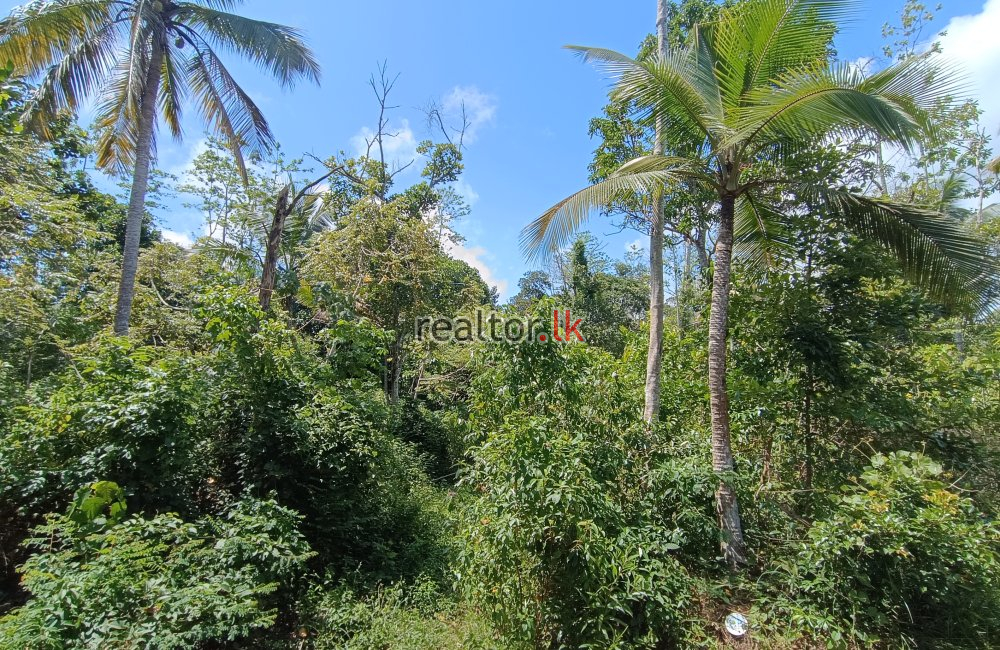 Commercial Land For Rent At Wadduwa