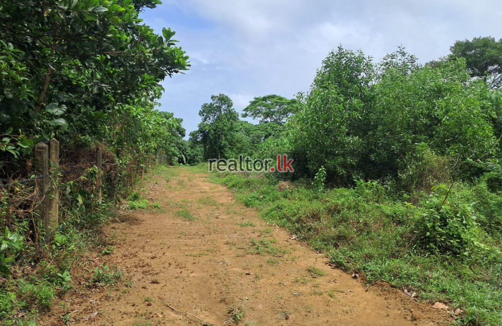Bolgoda Riverfront Land For Sale In Bandaragama