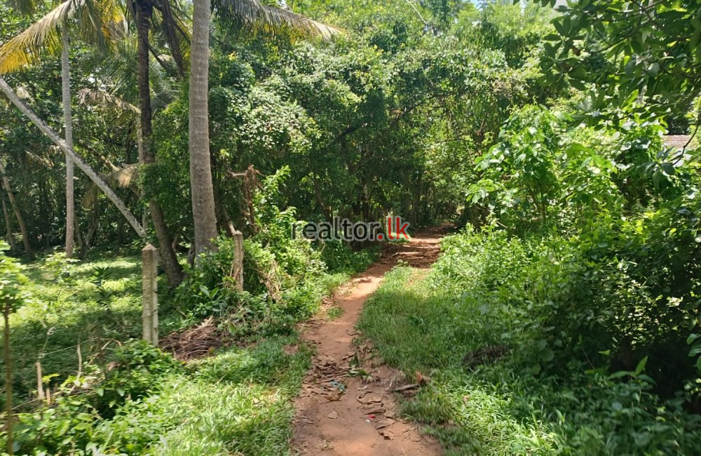 Beach Land For Sale At Dikwella