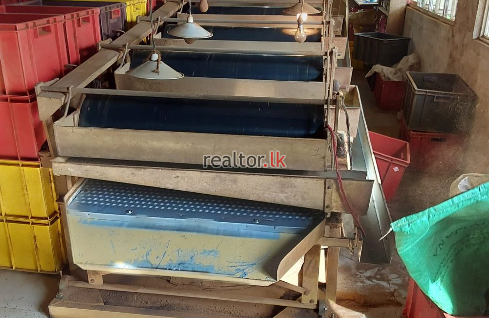 Tea Factory For Sale At Panapitiya