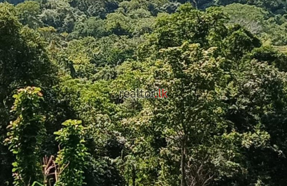 Laggala Land For Sale