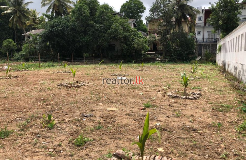 Land At Salinda Dissanayaka Mw Thalawathugoda