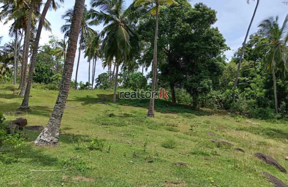 Land For Sale At Unawatuna Dalawella