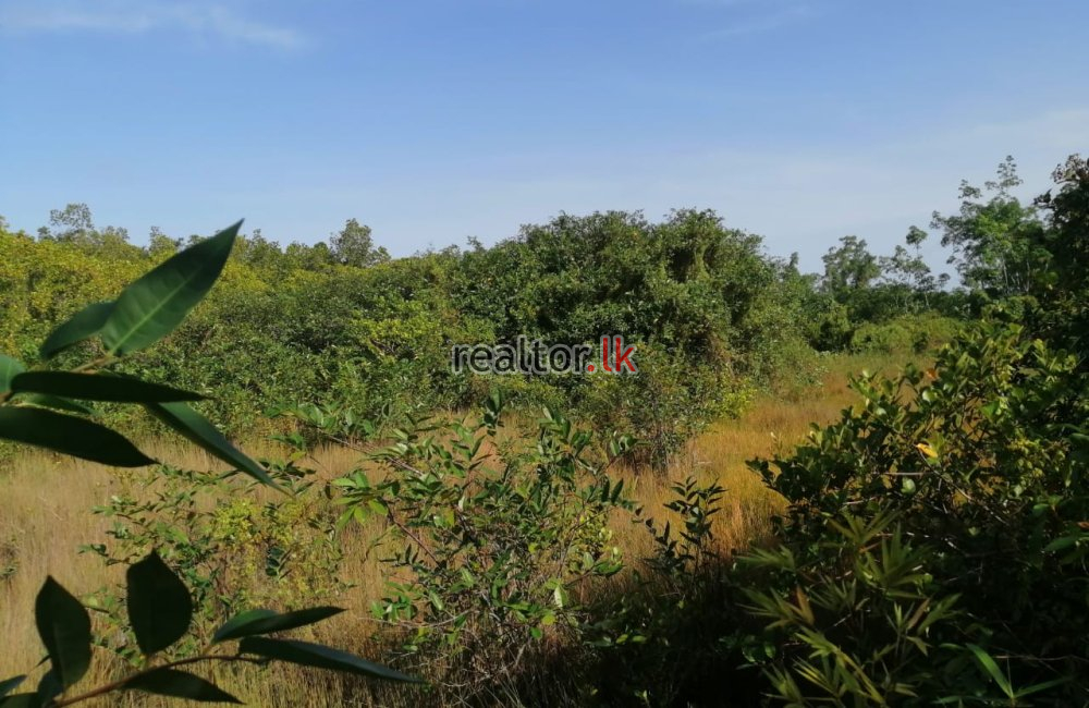 Facing Madu River Land For Sale