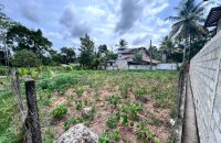 Bare Land for Sale In Welmilla