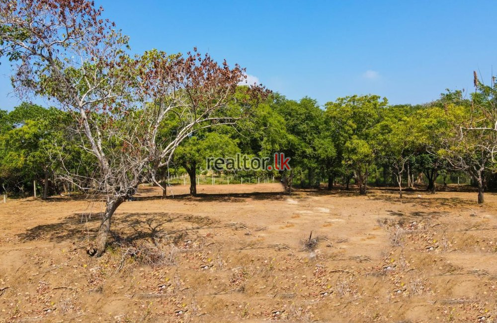 Oceanfront Land For Sale In Ranna