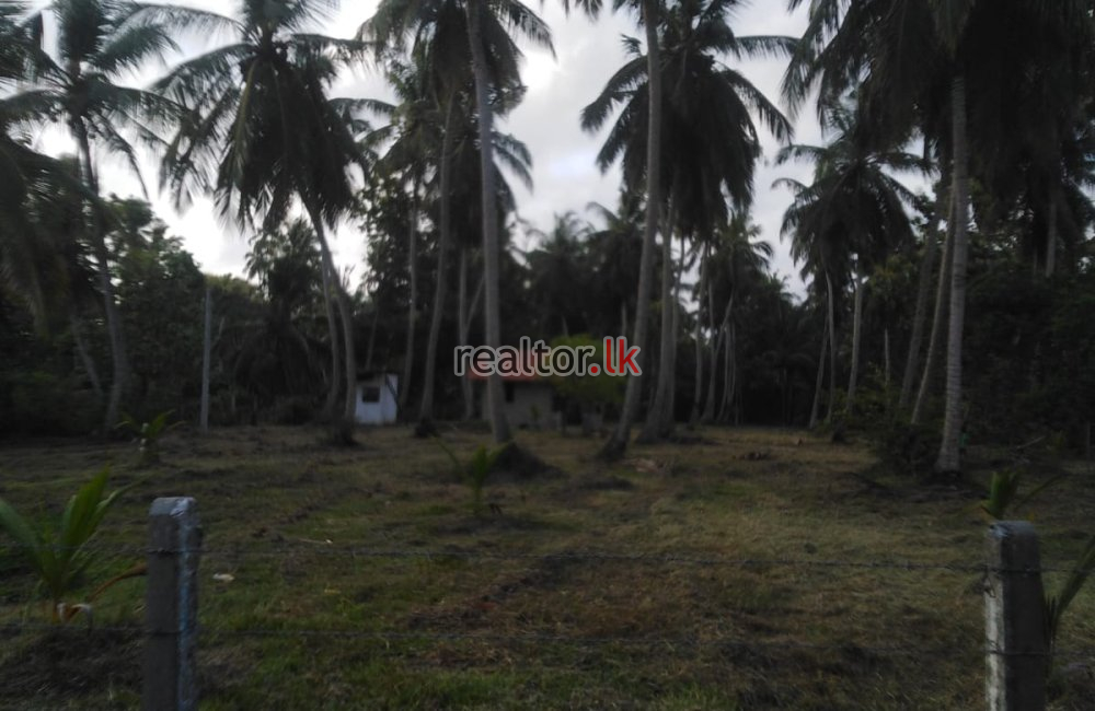 Marawila Coconut Land For Sale