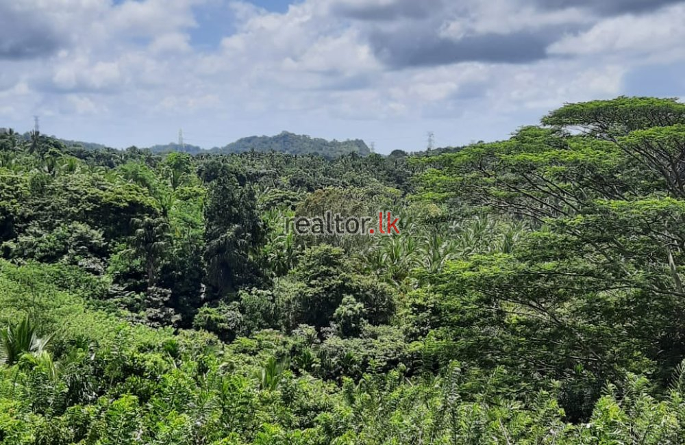 Mixed Estate For Sale In Kaltota Rd Balangoda